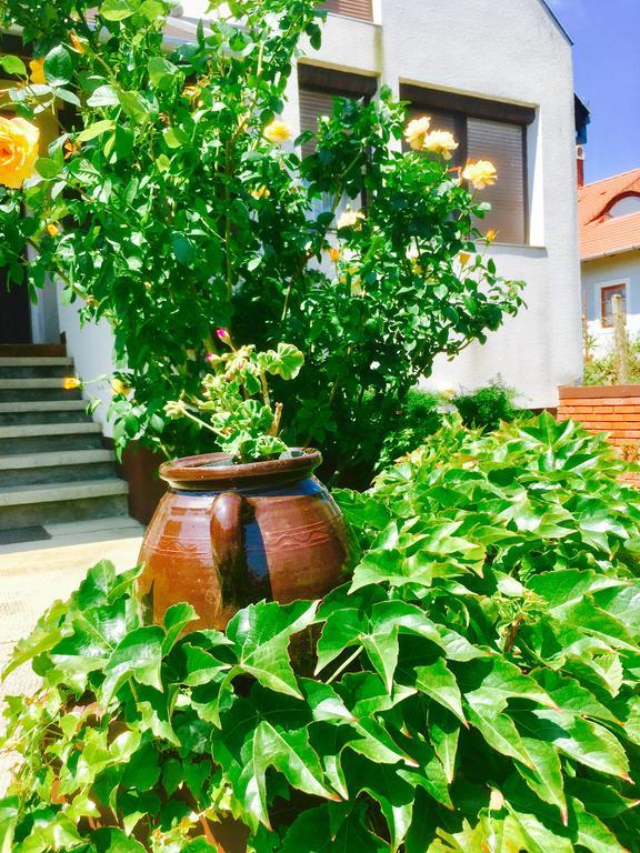 Rozsahegyi No.5 Apartment Сиглигет Екстериор снимка